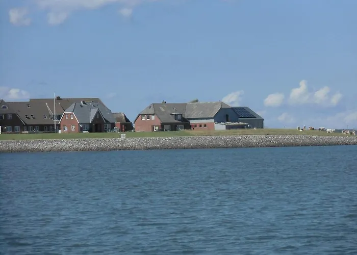 Haus-halligblick-ferienwohnung-oland Appartement