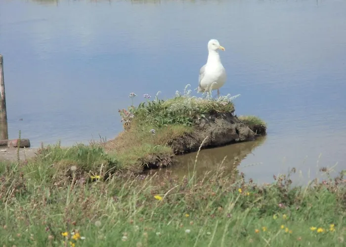 Appartement Haus-halligblick-ferienwohnung-oland *
